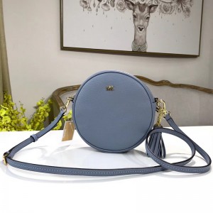 Michael Kors Crossbody Bags Blue (MK846)