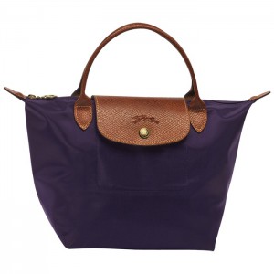 LONGCHAMP LE PLIAGE SMALL HANDBAG BILBERRY