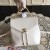 Chanel Backpacks CH038-White