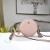 Michael Kors Crossbody Bags Pink (MK845)