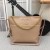 Chanel Large Hobo Handbag CH010-Apricot