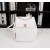 Chanel Backpacks CH076-White