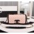 Chanel Flap Bags CH092-Pink
