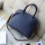 Michael Kors Cowhide Satchel Medium Size Sapphire Blue (MK107)