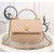 Chanel Top Handle Flap Bags CH027SV-Apricot