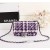 Chanel Small Classic Handbag CH030T-Purple