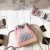 Chanel Gabrielle Backpacks CH172-Pink-Rainbow