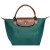 LONGCHAMP LE PLIAGE SMALL HANDBAG CEDAR